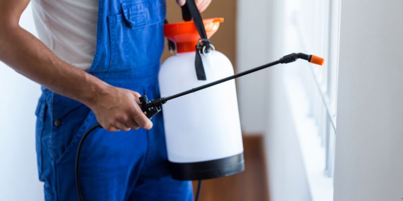 Como fazer dedetização em casa em Praia Grande