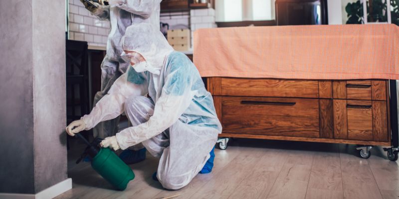 Dedetização em Apartamento Como Funciona em Praia Grande: Confira 4 Passos