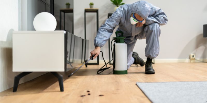 Quanto tempo dura uma dedetização em Praia Grande?